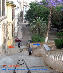 Rue Decugis 3A